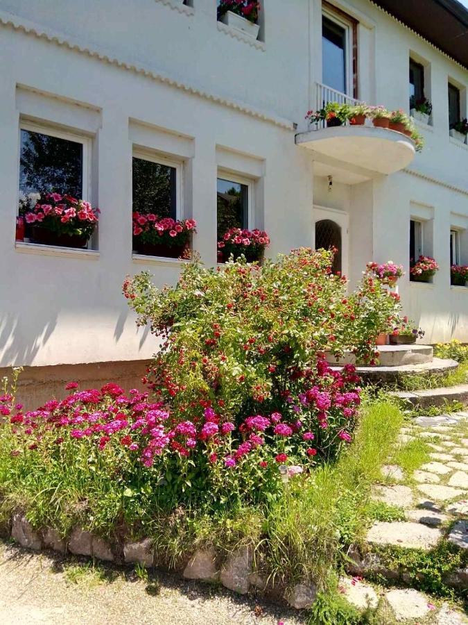 Lalic Rooms Saraybosna Dış mekan fotoğraf